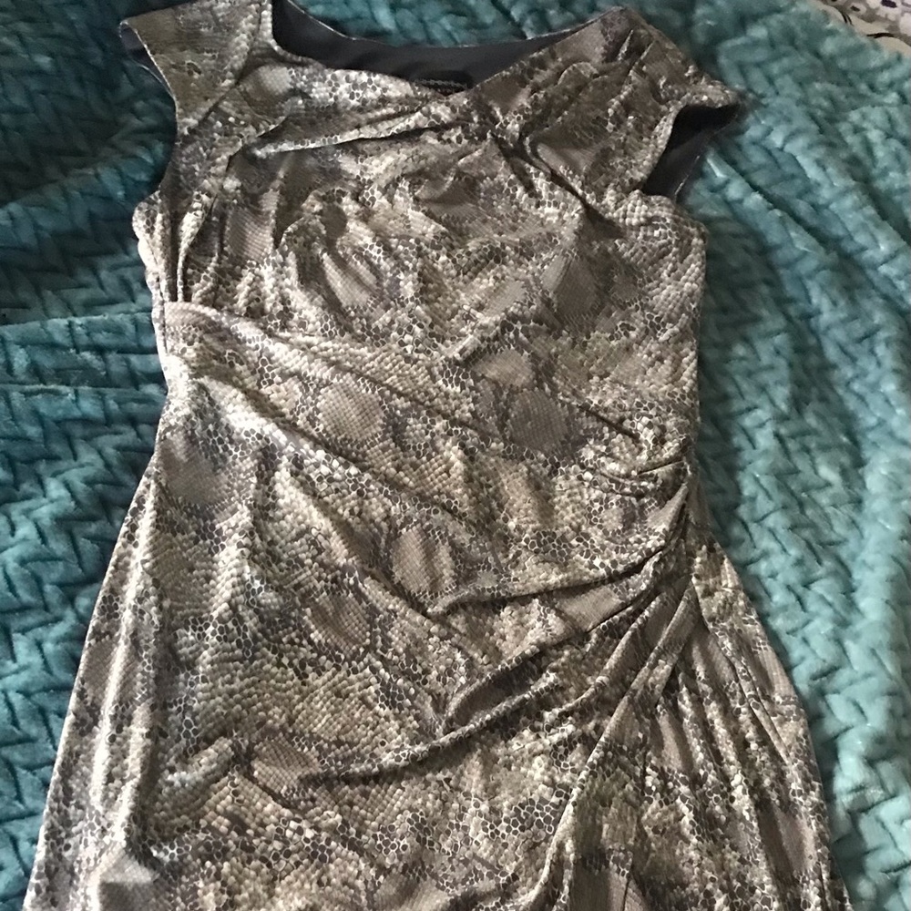 Grey snake skin